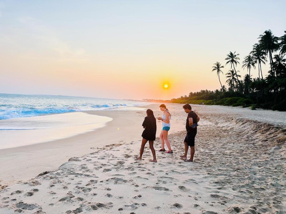 Shine Wave Turtle Beach Tangalle Exterior photo