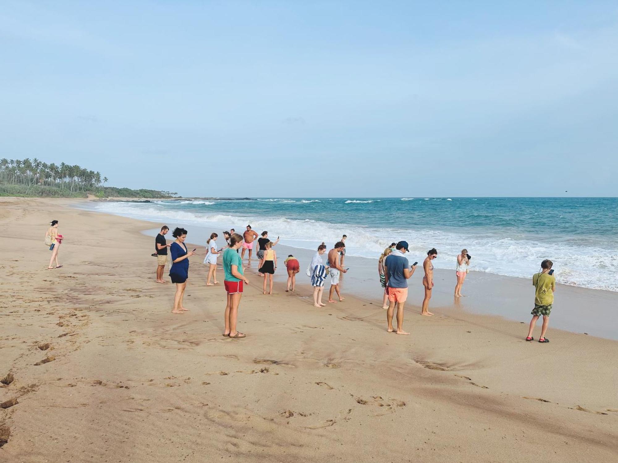 Shine Wave Turtle Beach Tangalle Exterior photo